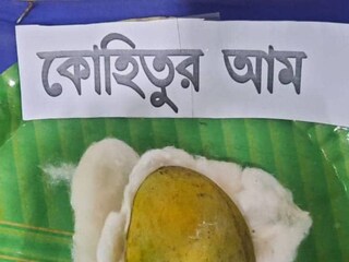 হিরের দুনিয়ায় যেমন কোহিনূর, আমের সাম্রাজ্যে তেমনই কোহিতুর