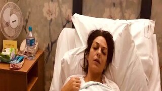 Nicole Elkabbas Nicole Elkabbas