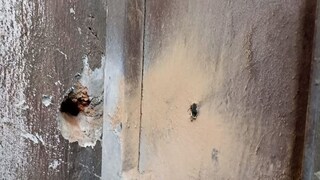 এলাকার দেওয়ালেও গুলির চিহ্ন৷