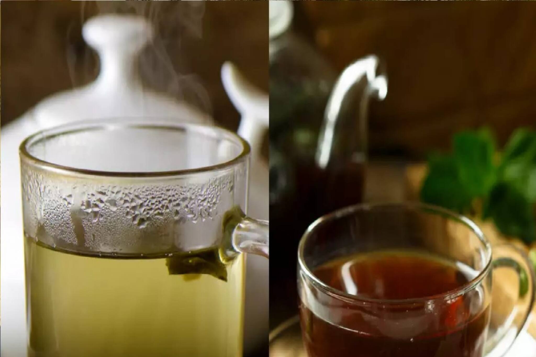 গ্রিন টি নাকি ব্ল্যাক টি? গরমে আপনাকে হাইড্রেট করবে কোন চা? জানুন এখুনি...