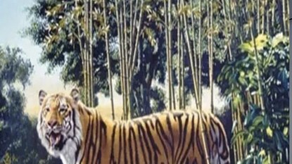 The Hidden Tiger Optical Illusion The Hidden Tiger Optical Illusion