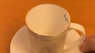 প্লেটের উপর কাপ রেখে ঘুরিয়ে দিলেই পাখি উড়ছে! দেখুন ভিডিও