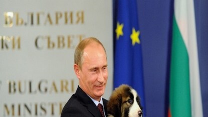 Vladimir Putin Vladimir Putin