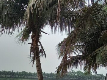 উত্তরবঙ্গে ভারী বৃষ্টি আজও, বিক্ষিপ্ত বৃষ্টির পূর্বাভাস দক্ষিণবঙ্গে