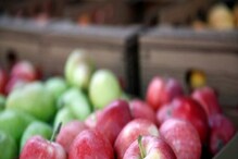 Apple তো খান নিয়মিত, Ice-Apple কোন জনপ্রিয় ফলকে বলে? উত্তরে ডাহা ফেল ৯৯% মানুষ Apple তো খান নিয়মিত, Ice-Apple কোন জনপ্রিয় ফলকে বলে? উত্তরে ডাহা ফেল ৯৯% মানুষ