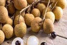 ফলে আঁশ নেই, তবুও নাম আঁশফল, english নাম বলতে মাথা চুলকাচ্ছেন ৯০% মানুষ
