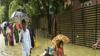 Assam Flood Situation