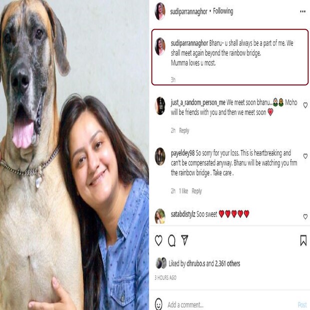 সেই পোষ্য সারমেয় বিয়োগ খুবই যন্ত্রণাদায়ক৷ 
