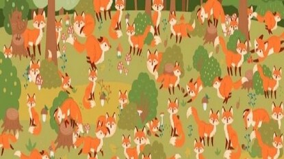 Viral Optical Illusion Viral Optical Illusion