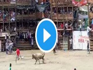  stand collapses bull fight colombia- Photo Courtesy- Twitter/ Video Grab 