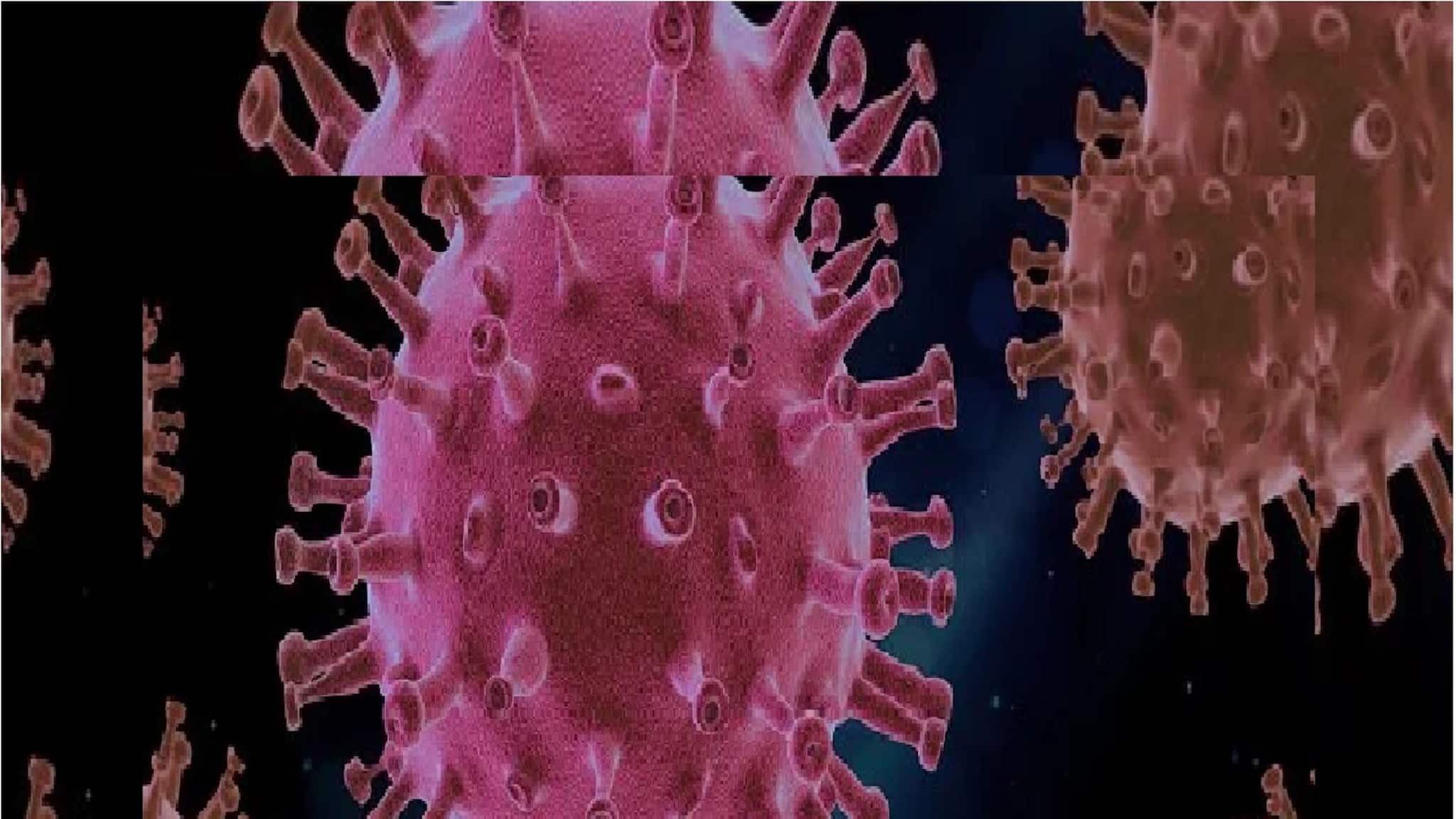 Explained: কখনও ভেবেছেন কি গরমের র্যাশও কোভিডের উপসর্গ হতে পারে, অজানা লক্ষণ কি আপনার শরীরেও! Explained: কখনও ভেবেছেন কি গরমের র্যাশও কোভিডের উপসর্গ হতে পারে, অজানা লক্ষণ কি আপনার শরীরেও!