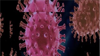 coronavirus symptoms and signs coronavirus symptoms and signs