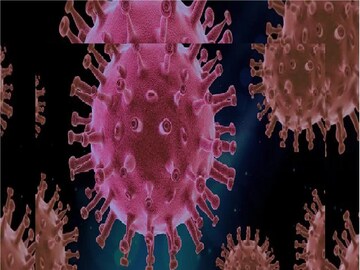  coronavirus symptoms and signs 