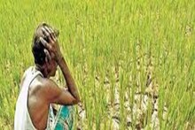 বাড়িতে এই জিনিস থাকলে চরম আর্থিক অনটন! আজই দূর না করলে পথে বসার সমূহ সম্ভাবনা