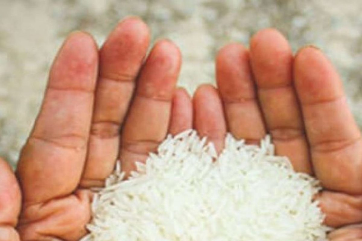 Rice Price Hike: আটা-ময়দার পর বাড়তে চলেছে চালের দামও! এই রাজ্যেও পড়বে প্রভাব