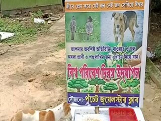 Purba Medinipur News: free food for birds and animals by jwele star club
