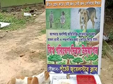 Purba Medinipur News: free food for birds and animals by jwele star club