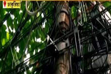 কলকাতার বিভিন্ন ল্যাম্পপোস্টে মৃত্যুর হাতছানি! দেখলেই ভয় ধরে যাবে, রইল ভিডিও কলকাতার বিভিন্ন ল্যাম্পপোস্টে মৃত্যুর হাতছানি! দেখলেই ভয় ধরে যাবে, রইল ভিডিও