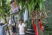 হরিদেবপুরে বিদ্যুৎস্পৃষ্ট হয়ে বালকের মৃত্যু, চূড়ান্ত গাফিলতির ইঙ্গিত রিপোর্টে!