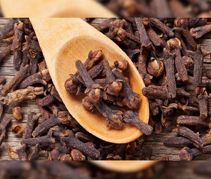  ভিটামিন সমৃদ্ধ লবঙ্গ: লবঙ্গে রয়েছে প্রয়োজনীয় ভিটামিন, যা স্বাস্থ্য ভালো রাখতে সহায়ক। আসলে লবঙ্গে থাকে ভিটামিন-বি১, বি২,বি৪,বি৬,বি৯ এবং ভিটামিন-সি ও বিটা ক্যারোটিনের মতো জরুরি উপাদান। এছাড়া লবঙ্গ খাওয়া হলে ভিটামিন বি-এর পুষ্টিগুণ আমাদের শরীরে প্রবেশ করে। এখানেই শেষ নয়, লবঙ্গ থেকে ভিটামিন-কে, প্রোটিন, কার্বোহাইড্রেটের মতো অনেক জরুরি পুষ্টি উপাদান পাওয়া যায়। এই সব পুষ্টি উপাদান শরীর সুস্থ রাখার জন্য অপরিহার্য। এছাড়া রোমান্স এবং সুখী জীবন উপভোগ করতে পুরুষদের নিয়মিত লবঙ্গ খাওয়া উচিত। Representational Image
