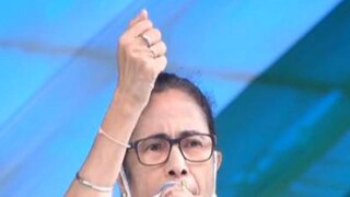 সোচ্চার মমতা