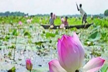 মনসা পুজোর ফুল আনতে পুকুরে নামলেন ব্যক্তি, এরপর যা ঘটল, ভয়ংকর! মনসা পুজোর ফুল আনতে পুকুরে নামলেন ব্যক্তি, এরপর যা ঘটল, ভয়ংকর!