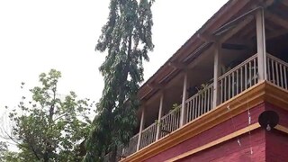 নৃশংস ঘটনা পাভলভে