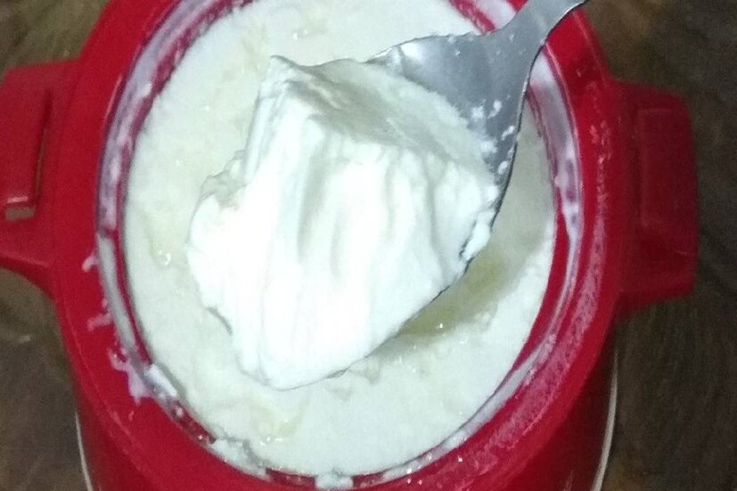 আসলে দইয়ের ইংরেজি অর্থ Curd, সমীক্ষা জানতে পারা যাচ্ছে বহু মানুষ হোঁচট খেয়েছেন ৷ প্রতীকী ছবি ৷