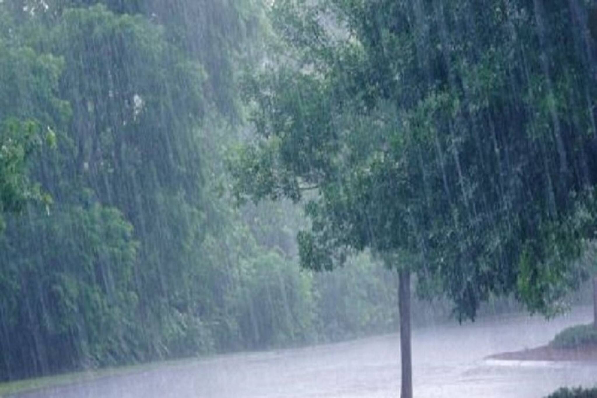 উত্তরবঙ্গে প্রবল বৃষ্টির আশঙ্কা, দক্ষিণবঙ্গে পরিস্থিতি কেমন?