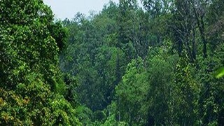 New boat ride in rivers are giving women empowerment