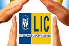 LIC শেয়ারে রেকর্ড পতন, মাথায় হাত বিনিয়োগকারীদের! বাঁচতে হলে এখুনি করুন এই কাজ