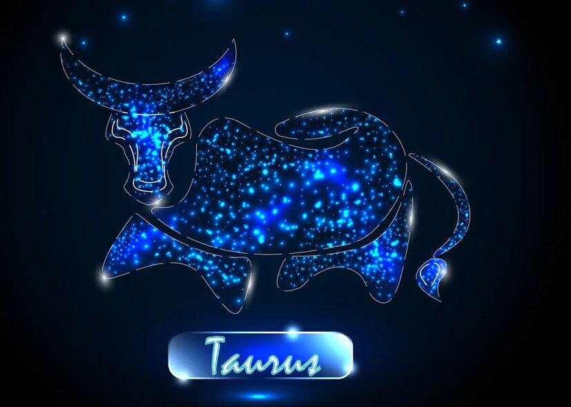  বৃষ (Taurus): এপ্রিল ২০ থেকে মে ২০। এই রাশির মানুষদের খুব ধনবান মনে করা হয়। কারণ, এঁদের উপর শুক্র গ্রহের বিশেষ কৃপা রয়েছে। শুক্র গ্রহের কারণে অল্প বয়সেই এঁরা অর্থকড়ির বিষয়ে ভাল সাফল্য অর্জন করে। এঁদের জীবনে কখনই কোনও কিছুর অভাব হয় না। এই রাশির মানুষরা জীবনে প্রচুর অর্থ উপার্জন করে। প্রায় সারাজীবনই এঁরা অবাধে ভোগবিলাসের আনন্দ উপভোগ করেন। Representational Image