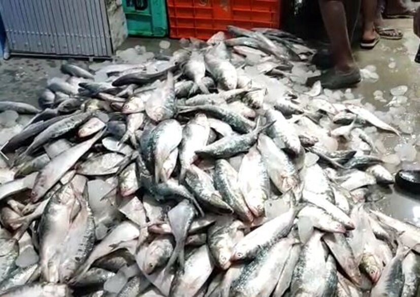 ইতিমধ্যে দক্ষিণ ২৪ পরগনার কাকদ্বীপ, ফ্রেজারগঞ্জ, রায়দিঘি, সাগর, ডায়মন্ড হারবার, পাথরপ্রতিমার প্রায় তিন হাজার মৎস্যজীবীরা সমুদ্রে মাছ ধরা শুরু করেছেন মৎস্যজীবীরা।