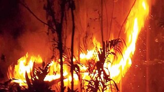 প্রতীকী চিত্র