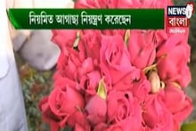 Annadata: কীভাবে করবেন লাভজনক গোলাপ চাষ? কী বললেন প্রগতিশীল কৃষক? দেখুন অন্নদাতা