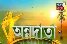Annadata: কীভাবে করবেন সফল মুরগি পালন? দেখুন অন্নদাতা