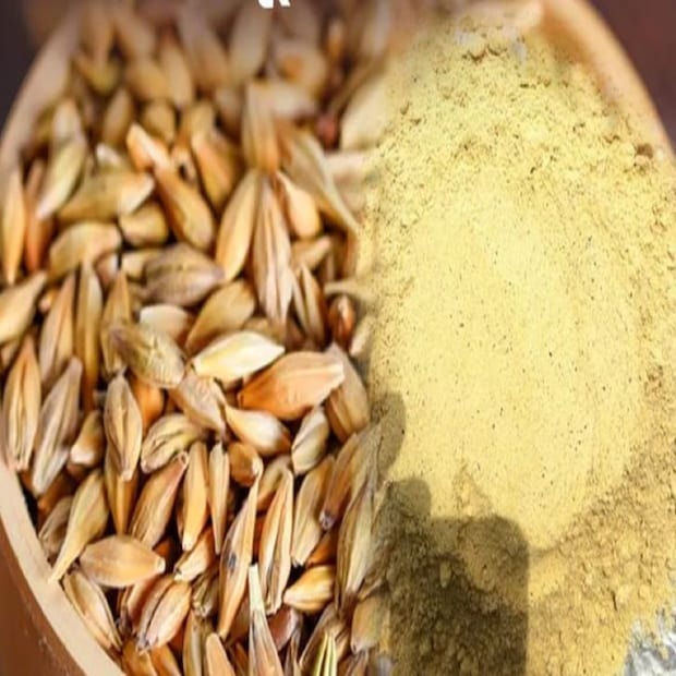 যব এবং ছাতু সূর্যের সাথে সম্পর্কিত বলে বিশ্বাস করা হয়। গ্রীষ্মকালে যব ও ছাতু দান করা খুবই শুভ বলে মনে করা হয়। বৃহস্পতি আপনার সম্পদ এবং ভাগ্য বৃদ্ধি করে। অন্যদিকে, সূর্য আপনাকে সম্মান ও উন্নতি দেয়, তাই গ্রীষ্মকালে এই দুটির দান বিশেষ গুরুত্ব বহন করে।