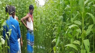 North 24 Pargana News (প্রতীকী ছবি) North 24 Pargana News (প্রতীকী ছবি)