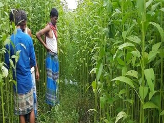 North 24 Pargana News (প্রতীকী ছবি)