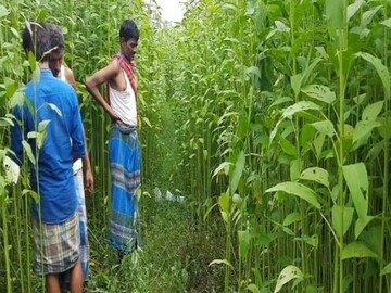 North 24 Pargana News (প্রতীকী ছবি)