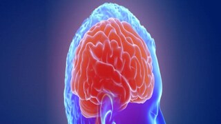 প্রতীকী ছবি ৷