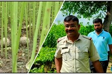 ডোমকলে বোমা বাঁধার সময়ে বোমা ফেটে মৃত ১, আহত ১ ডোমকলে বোমা বাঁধার সময়ে বোমা ফেটে মৃত ১, আহত ১