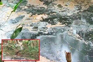 কালো হয়ে গিয়েছে খালের জল