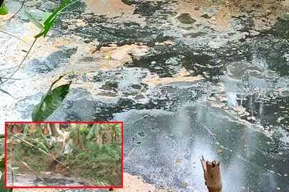 কালো হয়ে গিয়েছে খালের জল