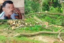 রক্ষক ই ভক্ষক, বনের নিরাপত্তারক্ষী বিক্রি করল গাছ কেটে, ভয়ঙ্কর অভিযোগ রক্ষক ই ভক্ষক, বনের নিরাপত্তারক্ষী বিক্রি করল গাছ কেটে, ভয়ঙ্কর অভিযোগ