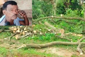 কাটা