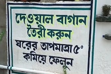 অভিনব দেওয়াল বাগানে কমবে ঘরের তাপমাত্রা! বাঁচবে ইলেকট্রিক বিল
