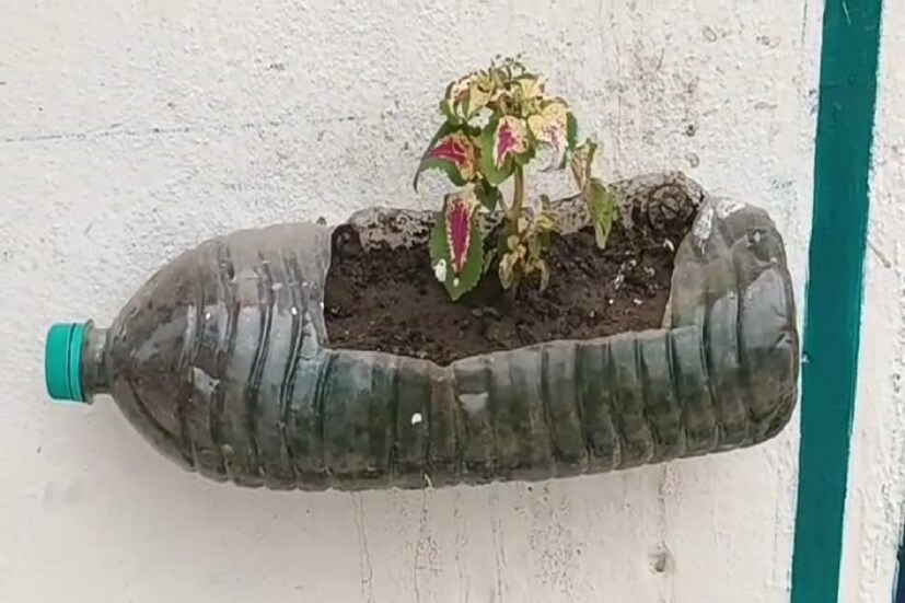 পাশাপাশি মধ্যমগ্রাম পুরসভা দেওয়াল বাগান করার এক অভিনব উদ্যোগ নিয়েছে। রীতিমতো প্রচার চালিয়ে পুরসভা ইকো ফ্রেন্ডলি দেওয়াল বাগান তৈরির উপর সাধারণ বাসিন্দাদের অবগত করছে। এই ইকো ফ্রেন্ডলি দেওয়ালের ফলে ঘরের তাপমাত্রা পাঁচ ডিগ্রি পর্যন্ত কমিয়ে ফেলা সম্ভব হবে বলে মত পুরসভার স্বাস্থ্য ও পরিবেশ বিষয়ক দফতরের। ইতিমধ্যে দুটি ওয়ার্ডে এই দেওয়াল বাগান করা হয়েছে। সেই দেওয়াল বাগানেও পুরসভার তৈরি নোয়াই জৈবসার ব্যবহার করা হচ্ছে বলে জানান পুরপ্রধান। আপাতত দুটি ওয়ার্ডকে পাইলট প্রোজেক্ট করা হলেও, আগামী দিনে ২৮ টি ওয়ার্ডেই কার্যকরী হবে পুরসভার এই উদ্যোগ। দূষণমুক্ত পরিবেশ গড়ে তুলতে পুরসভার এই উদ্যোগকে সাধুবাদ জানিয়েছেন এলাকার সমাজসেবী থেকে বুদ্ধিজীবী মহল।
