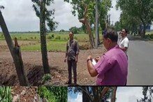 বেআইনি ভাবে গাছ কেটে ফেলার অভিযোগ রাইস মিলের বিরূদ্ধে বেআইনি ভাবে গাছ কেটে ফেলার অভিযোগ রাইস মিলের বিরূদ্ধে