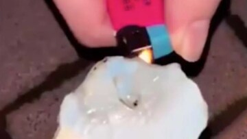 পাক্কা চিনা মাল! গরমেও গলছে না Ice, এমনই তাক লাগানো আইসক্রিম পাক্কা চিনা মাল! গরমেও গলছে না Ice, এমনই তাক লাগানো আইসক্রিম